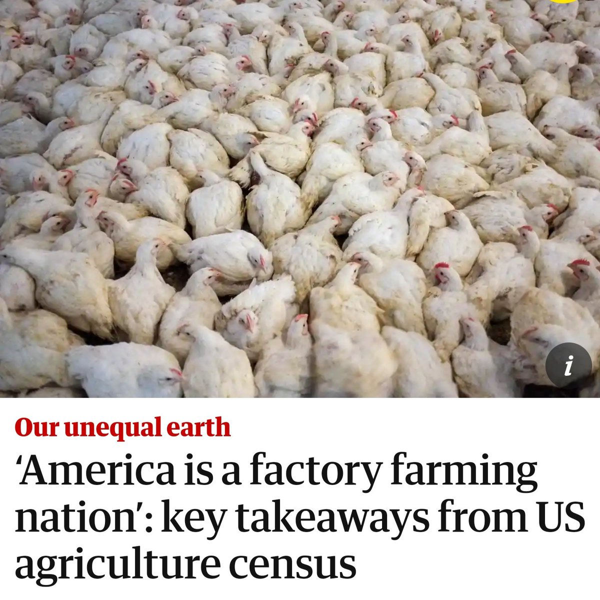 Are you ready to end factory farming? The animals are waiting for us.

amp.theguardian.com/environment/20…