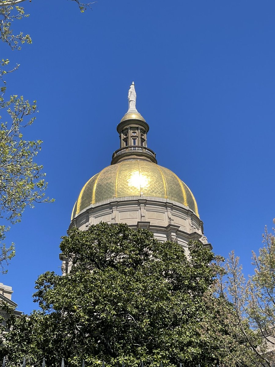 It was a beautiful day advocating for #LiteracyAndJusticeforAll with @DDGA13 down at the Gold Dome!! #GaPol