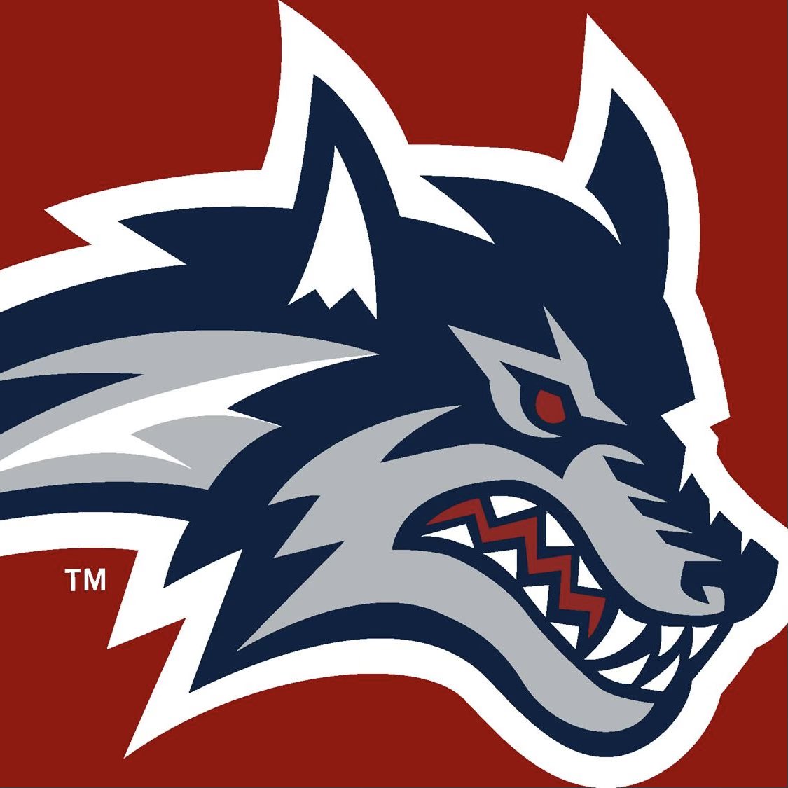 CamTheTankBrown's tweet photo. Blessed to receive an offer from Stony Brook University. 
@StonyBrookFB 
@CoachElliott19 
@gilman_football 
@CoachVanZile 
@rivalsfriedman @247recruiting @NPCoachZim @TheUCReport @EdOBrienCFB @CoachCoreydmv @on3 @tdhald https://t.co/GXKTrJ2ulr