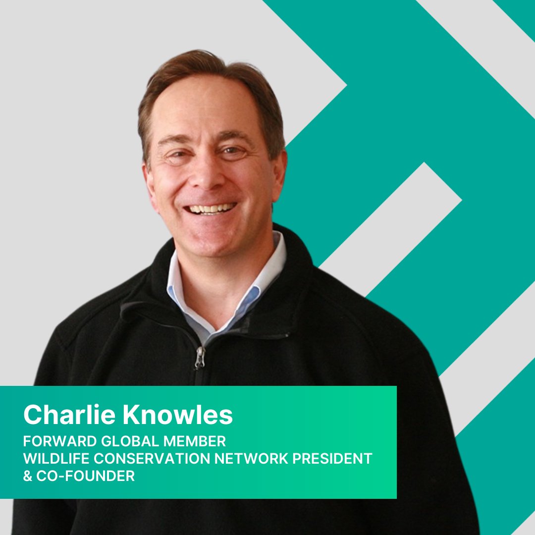 “I see WCN’s value-add in our connection to what’s going on on the ground.' #ForwardGlobal member Charlie Knowles of @wildnetorg works w/ local communities to find & implement solutions so wildlife and people can coexist and thrive. Read about his work: bit.ly/494zcoK