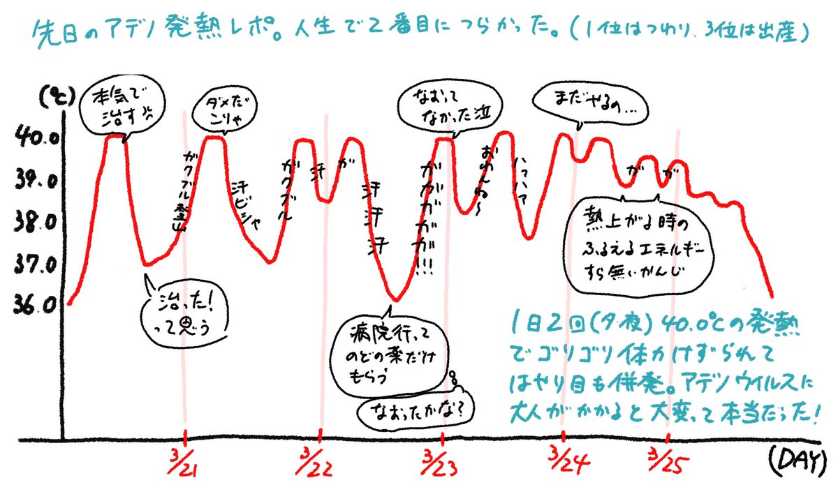 先週アデノにかかってて繰り返す高い熱が本当に地獄だったのでメモ。40.0°Cの山を8回は超えた。山を登る時が一番つらい。上がりきると岩盤浴みたいな気分になる。ポカリ飲み続けると口臭くなるのもしんどかった…
はやり目は今やっと治ってきたところ。家族にうつらなくて本当によかった… 