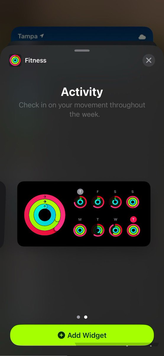 _arj123's tweet image. Apple should make a fitness widget that displays all your rings for the past week.

Here is a quick concept of how that could look: