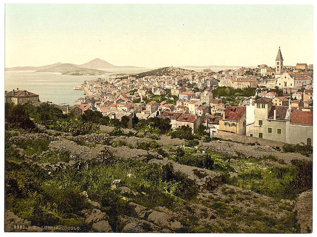 Lussin-Piccolo (i.e, Lussinpiccolo), general view, Istria, Austro-Hungary, between ca. 1890 and ca. 1900.