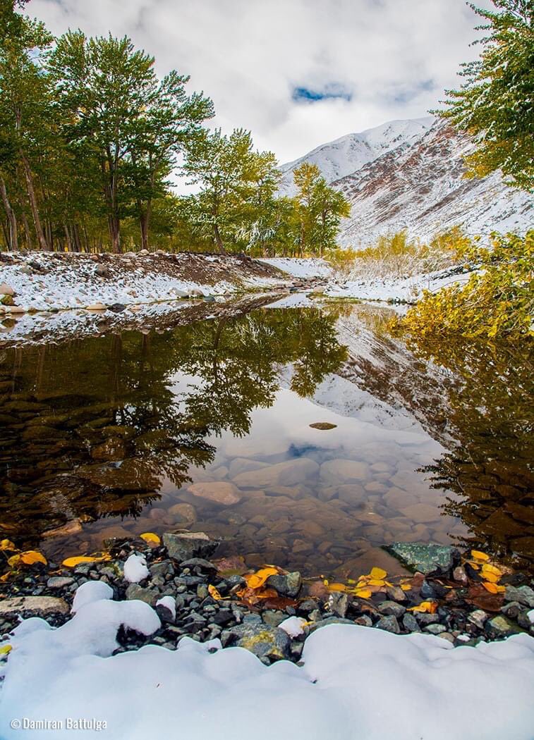 Өглөөний мэнд
Өнгөт орчлон минь