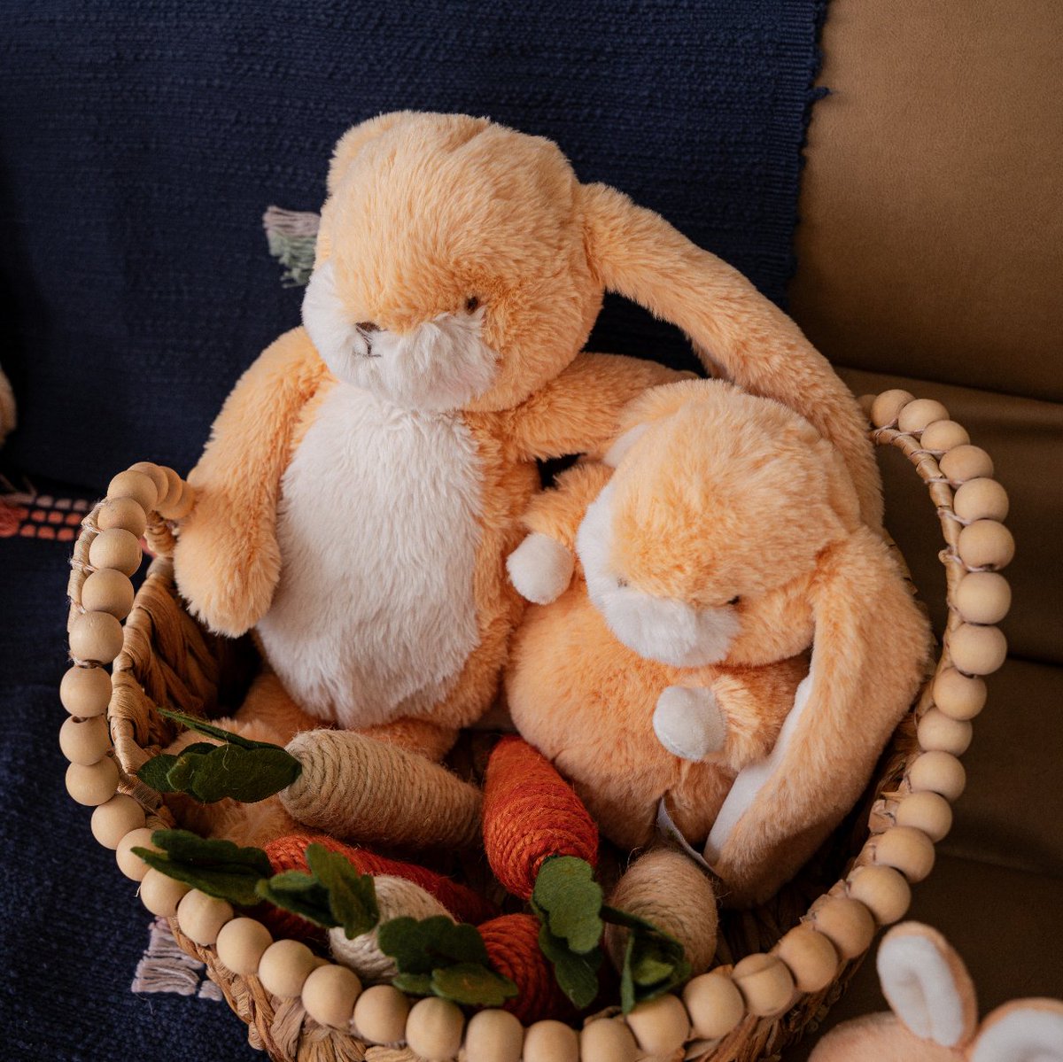 Easter basket buddies 🐰🧡

#bunniesbythebay #givegladdreams #storytime #bunnylove #easter #easterbunnies #eastergifts #gardenfriends #butterfly #playtime #imagination #imaginativeplay #giveasmile #bestfriendsindeed #bestfriends #easter #easterbunny