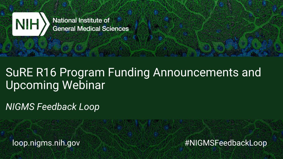 We're pleased to announce that two NOFOs for the Support for Research Excellence program have been reissued. Applicants are encouraged to join our webinar on 4/2, 2-3:30 p.m. ET for program & application info. Learn more in our #NIGMSFeedbackLoop blog: go.nih.gov/DTwmSej.