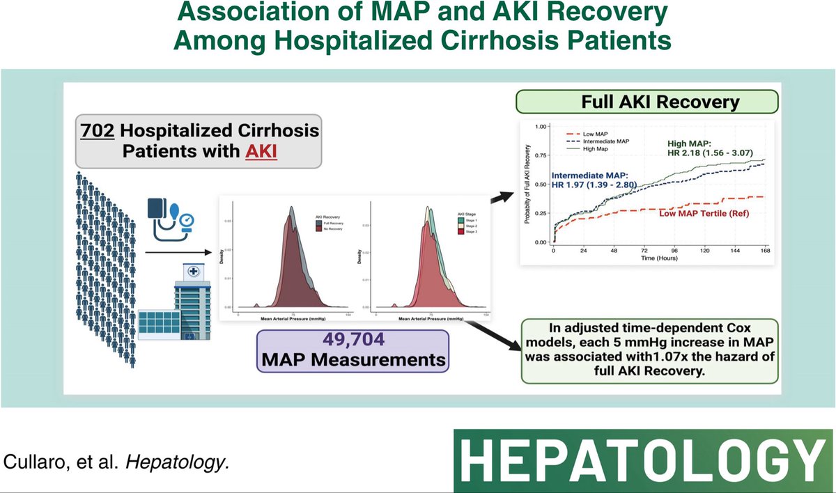 Targeting MAP is crucial to hasten AKI recovery. See➡️ journals.lww.com/hep/fulltext/9… by the mad genius @JoeCullaro Need more evidence? ➡️ pubmed.ncbi.nlm.nih.gov/32618694/ ➡️ pubmed.ncbi.nlm.nih.gov/38535488/ @AASLDtweets @ICA_Global_AKI @HrsHarmony
