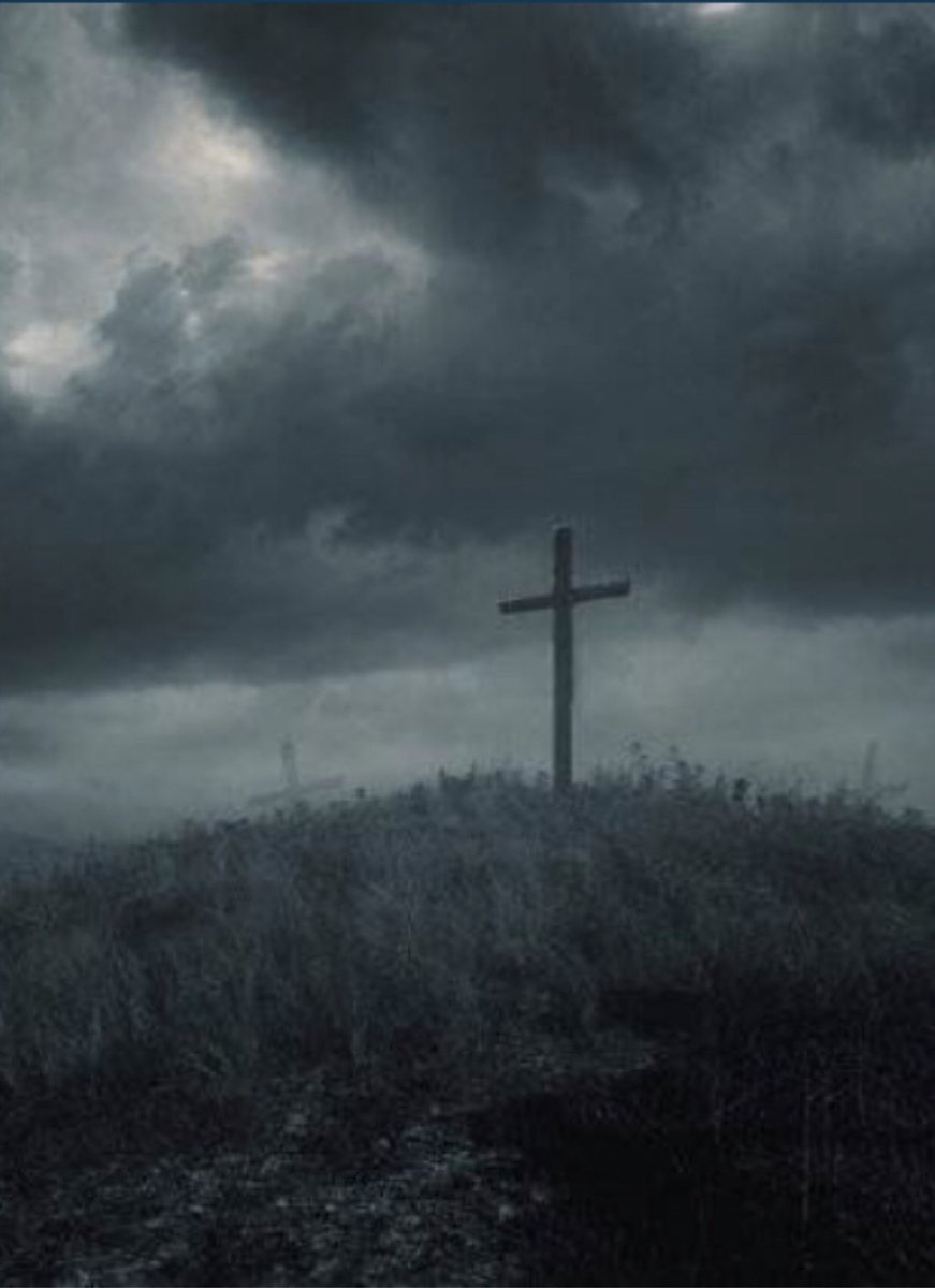 “Turn my eyes from looking at worthless things; and give me life in Your ways. Confirm to Your servant Your promise, that You may be feared.”
~Psalm 119:37-38🕊