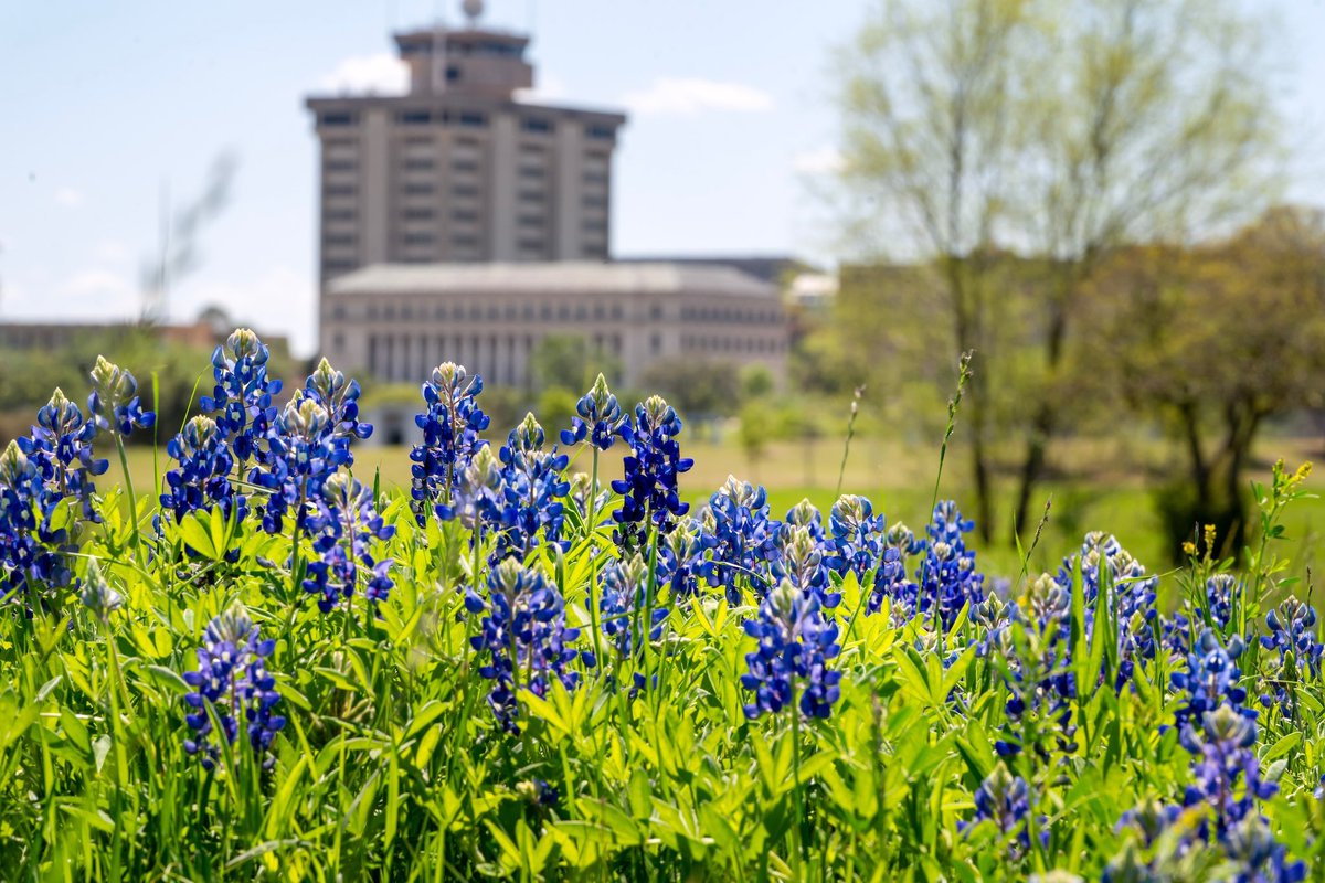Texas A&M University tweet media
