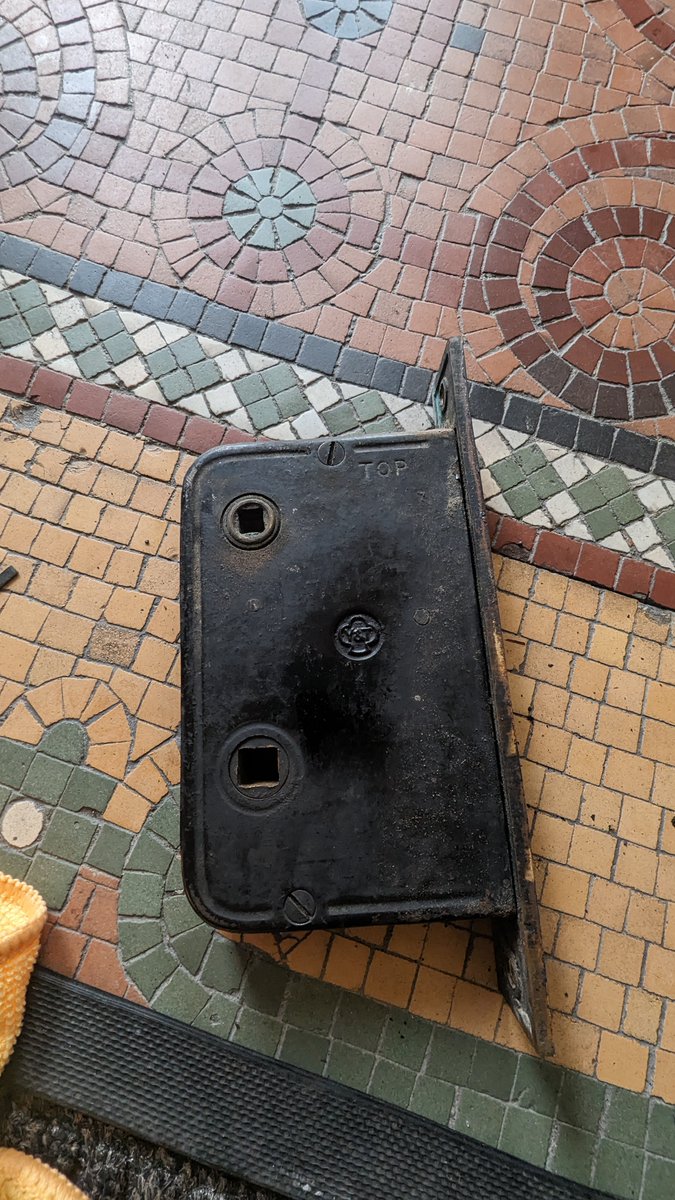 Master of None 🐜 tweet media