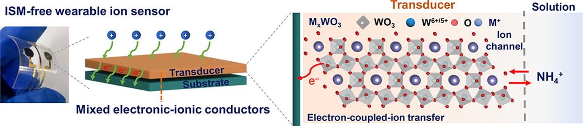 The researchers from Guangzhou University proposed  a wearable bioelectronic ion sensing device based on the mixed electronic-ionic conductors of tungsten bronzes. doi.org/10.1016/j.scib…
@ElsevierEnergy @isciverse #WearableDevice