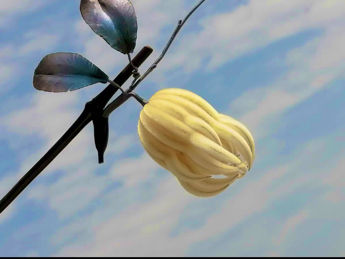 中国古代髪飾り｜簪（さん） 中国古代の女子が髪を結う時に使う髪飾り