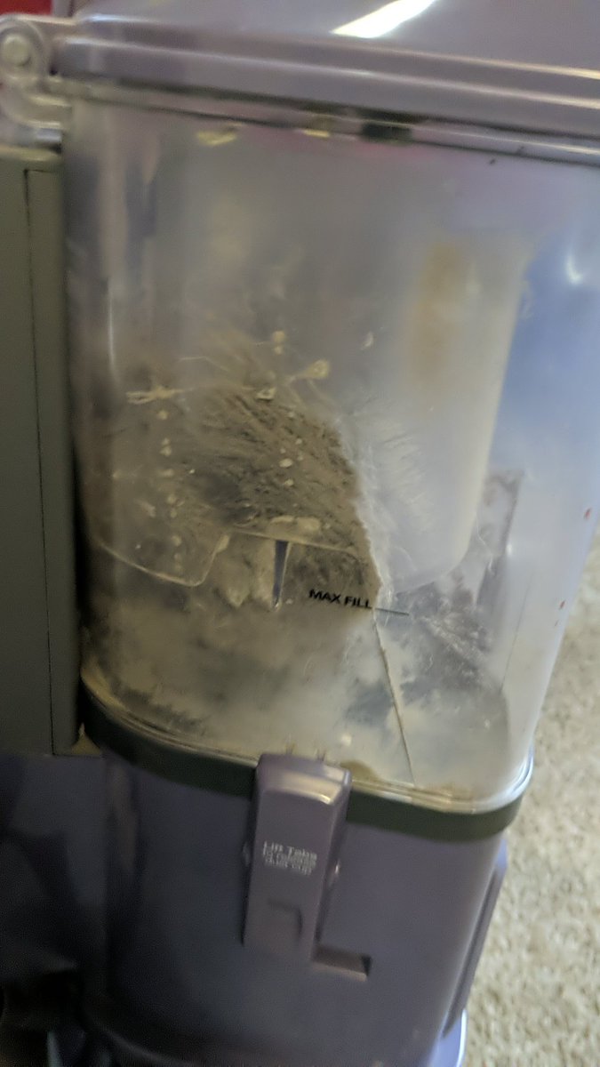 𝚝𝚎𝚜𝚜𝚊 tweet media