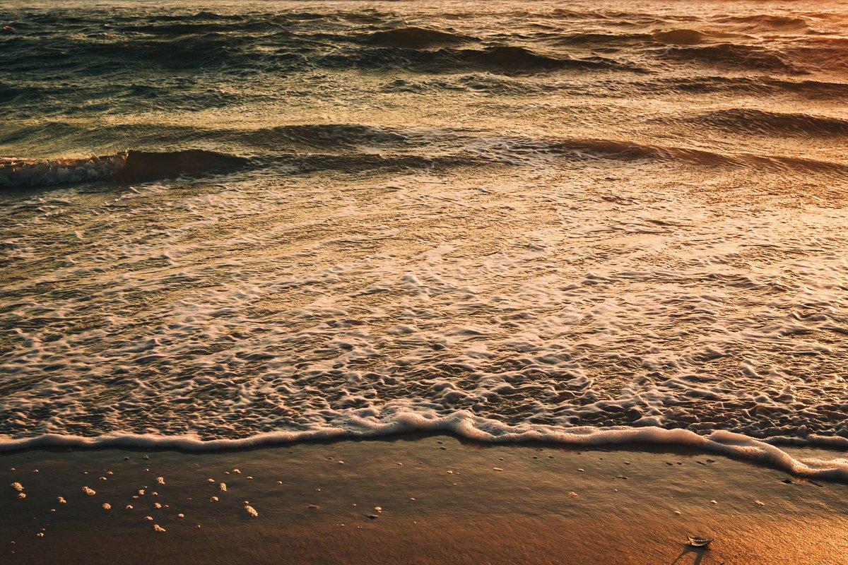 Snapped by Carson tweet media