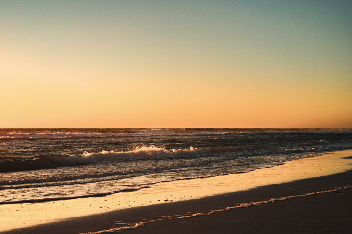 Snapped by Carson tweet media