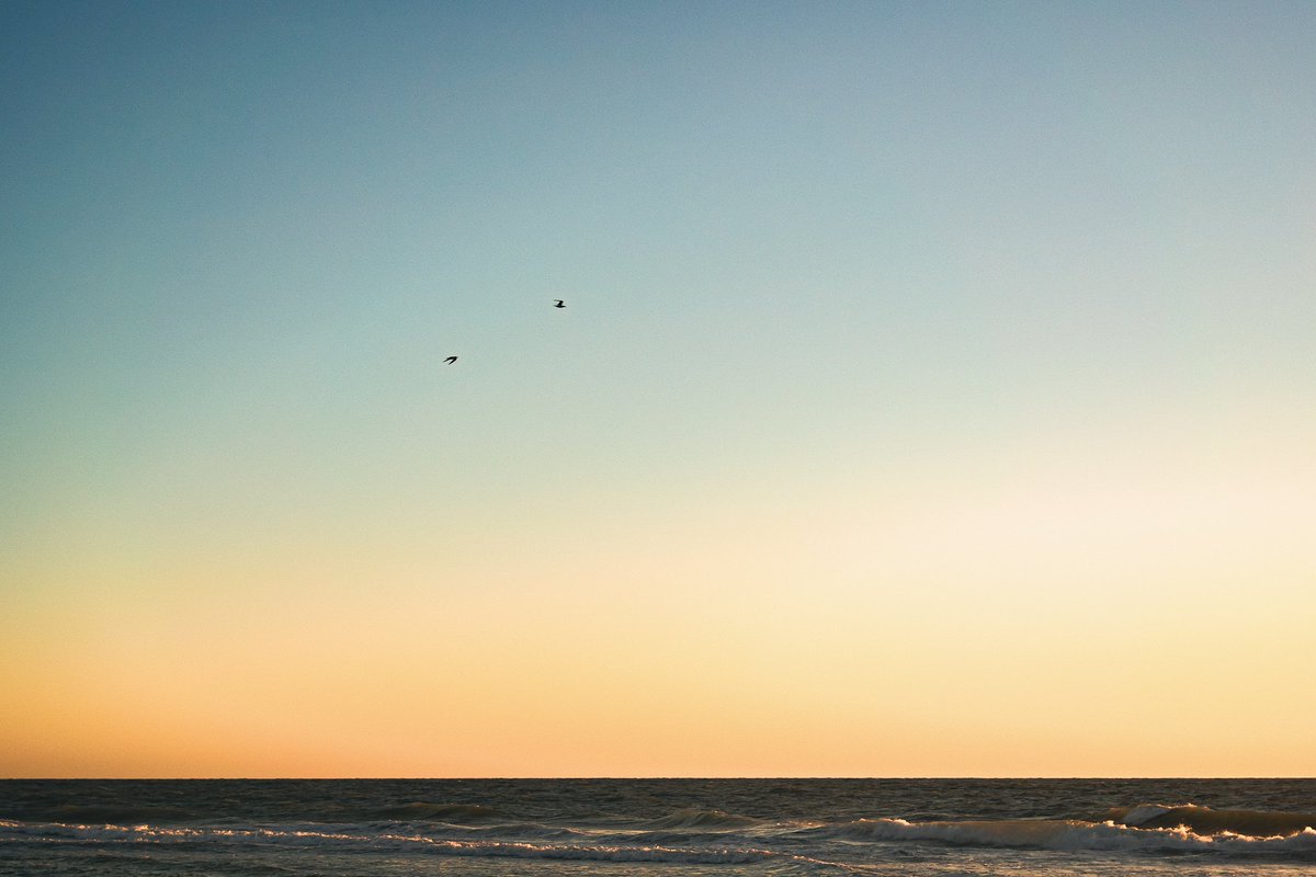 Snapped by Carson tweet media