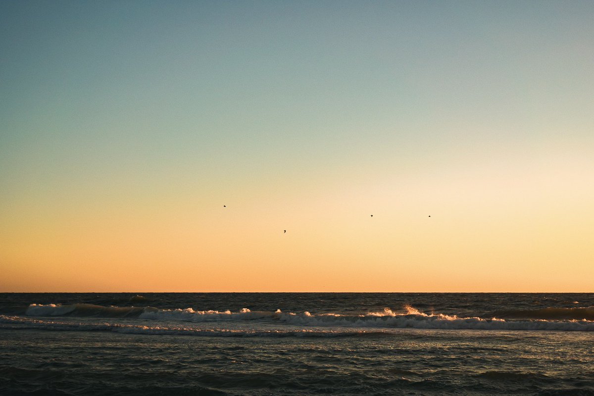 Snapped by Carson tweet media