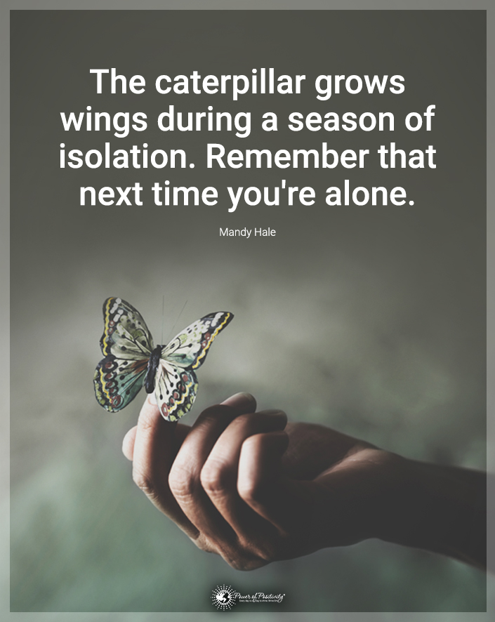 “The caterpillar grows wings during a season of isolation. Remember that next time you’re alone.”