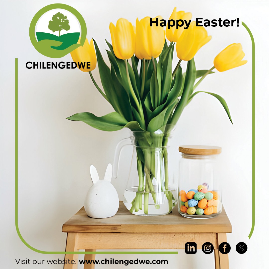 🐣🌿 Happy Easter Weekend from Chilengedwe! 🌷🌍
🌱 Plant a tree in your community to contribute to reforestation efforts.

Together, let's make every day Earth Day and create a brighter, greener future for all! 🌟💚 #HappyEaster #Sustainability #Chilengedwe #GoGreen