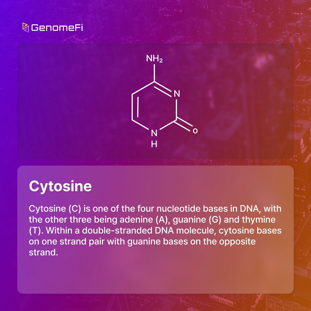 Keyword Snapshot  C -  12

Unlocking the Code of Cytosine

Explore the fascinating world of genetics with our Keyword Snapshot card. 

#Genome #Blockchain #Polygon #PolygonLabs #Card #DNA #GENO