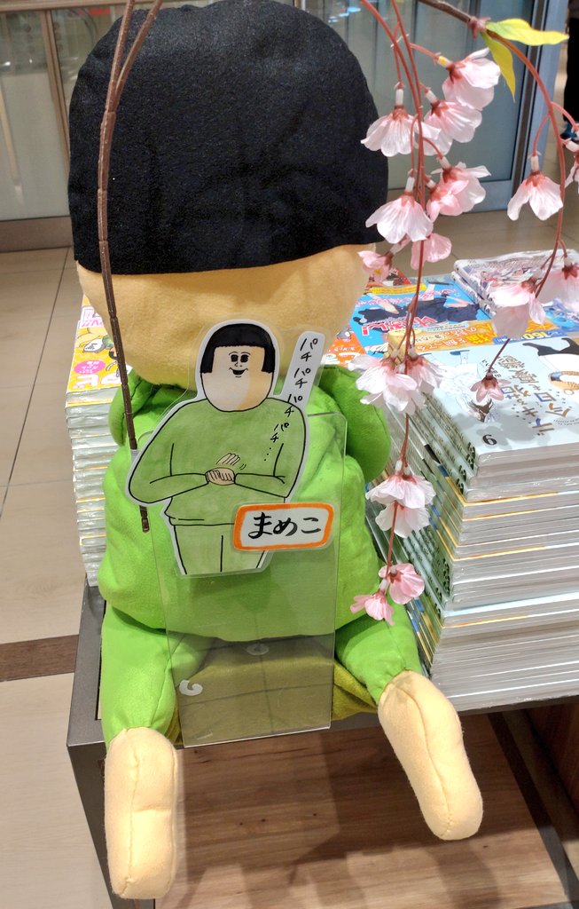 Amazon.co.jp: まめきちまめこニートの日常 スヤスヤZzzこっと