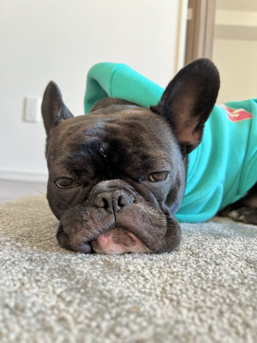 わたしに何かご用ですか？？👀🌀