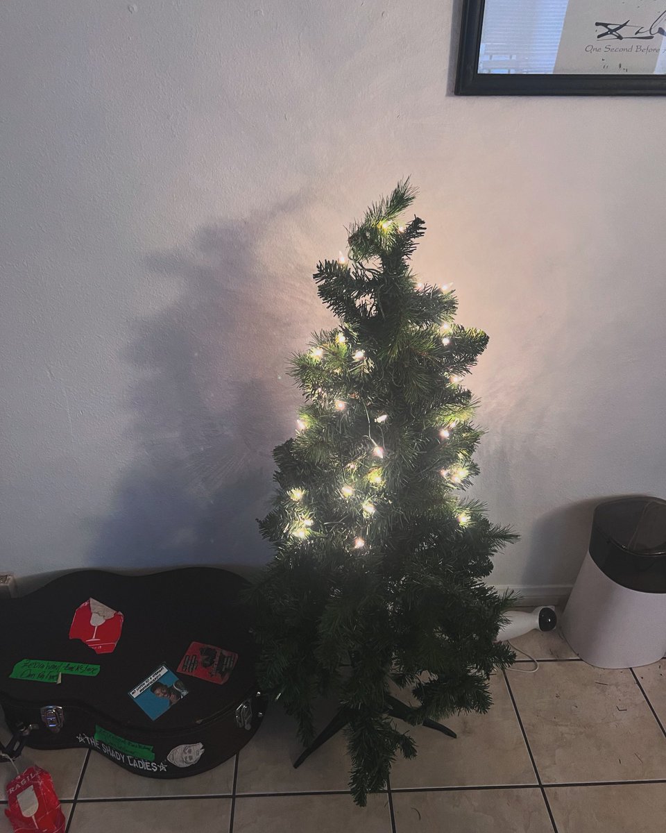 Should i take my Christmas tree down or just leave it up forever?