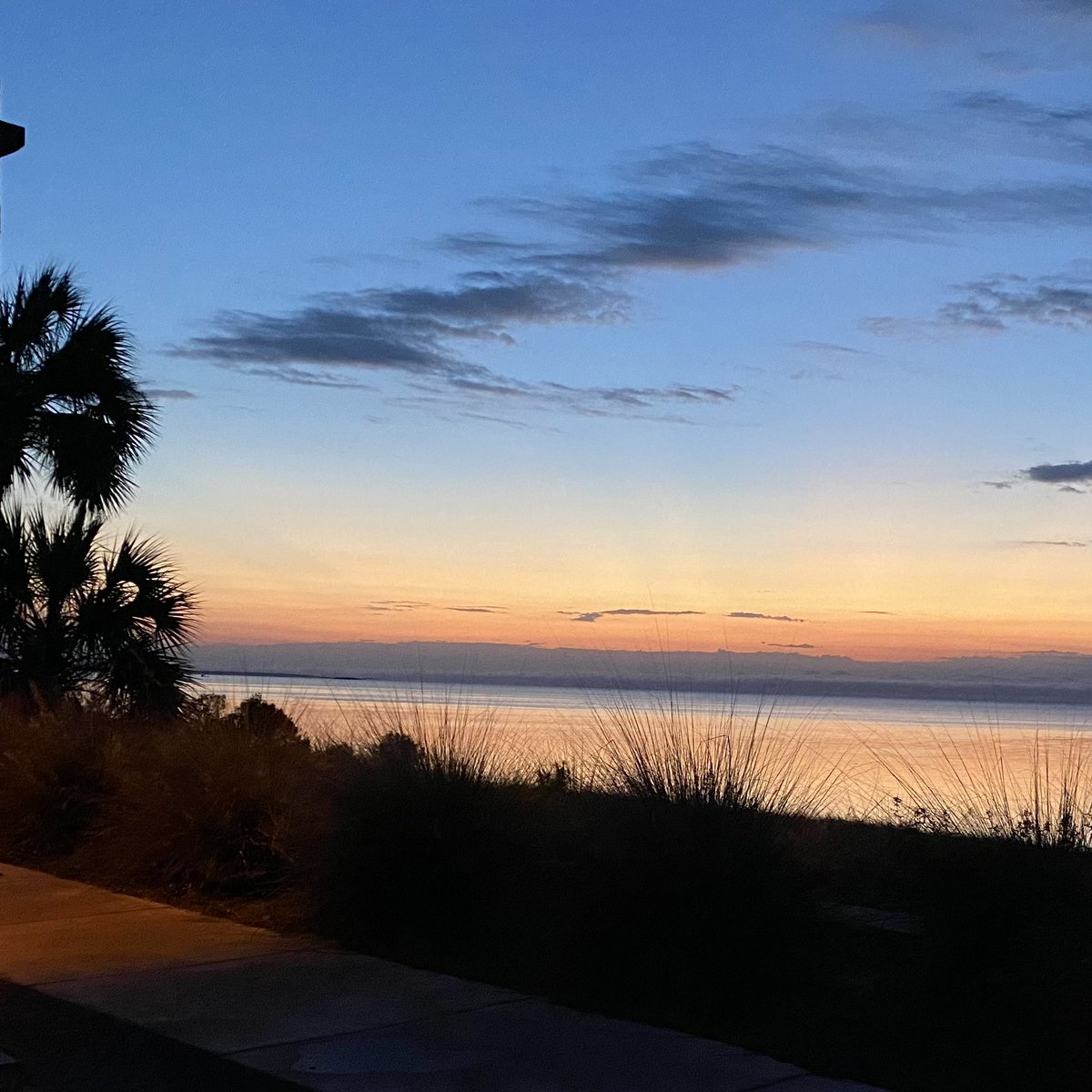 Sarah Jones tweet media