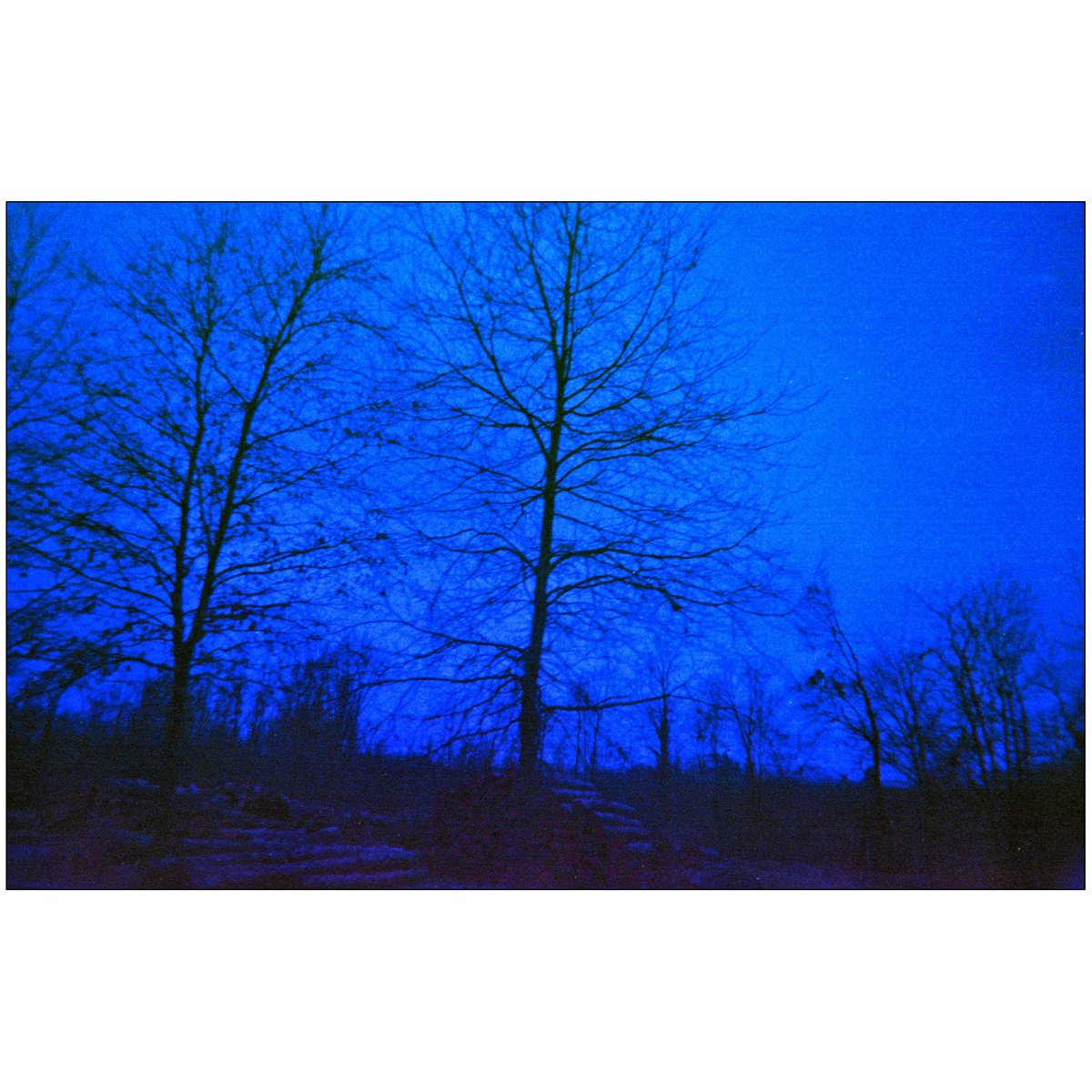 #colorfilm #colorfilmphotography #plasticcamera #c41 #developedathome #pratosesia #baragiotta #fotografiaanalogica #paesaggioitaliano #paesaggiopiemontese #filmphotography #experimentalphotography #fotografiasperimentale #bluephotography #landscapephotography #135mmfilm #35mmm