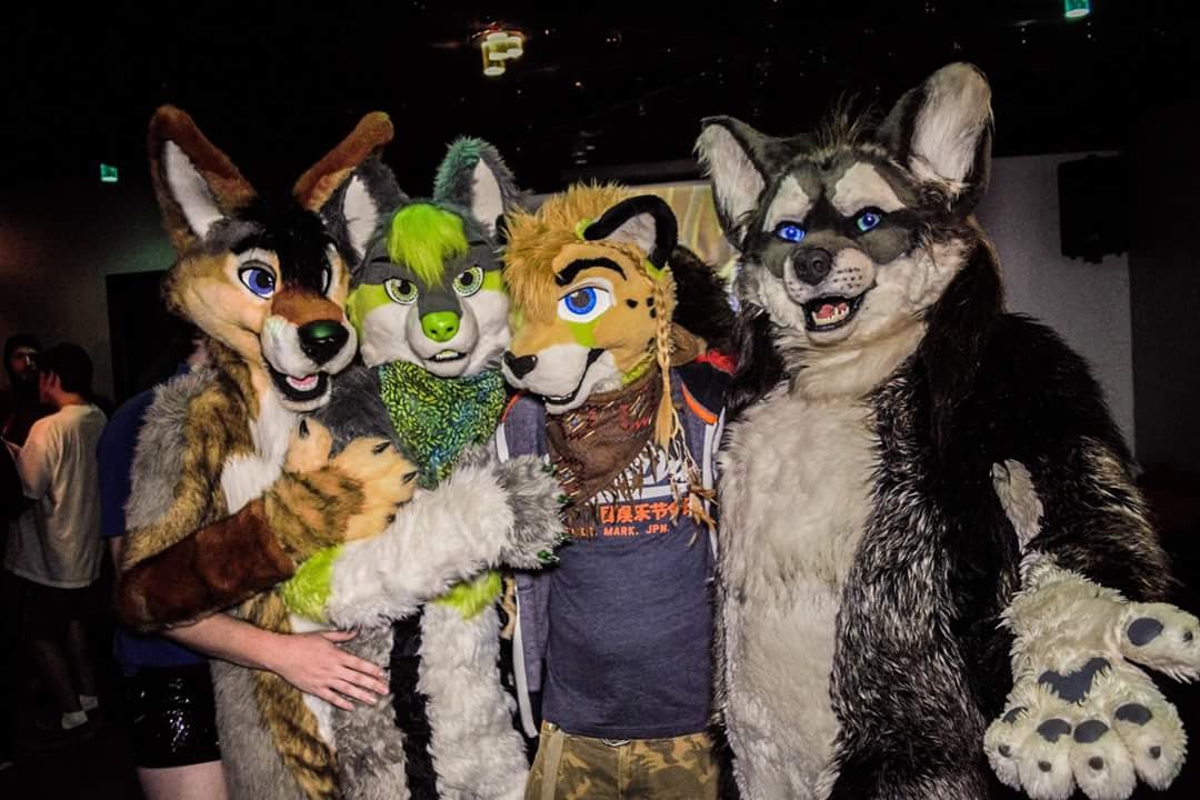 A late Happy Birthday to <a href="/YaltaWuff/">🐺 Yalta Wuff 📷</a> and a early #FursuitFriday 
Good times at <a href="/tail_party/">TAIL! Fri Feb 6—Furry Nightclub</a> of 2017-ish

<a href="/DandylionsLLC/">Dandylions</a>