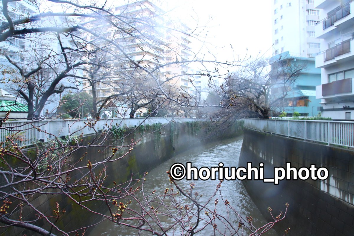 horiuchi_photo tweet picture