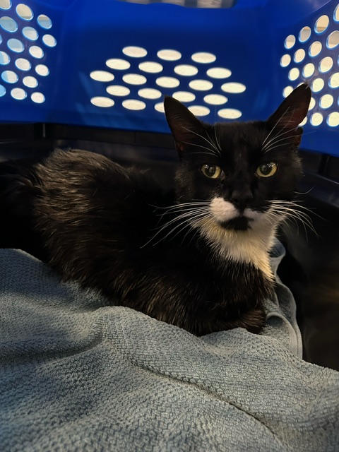 Bryan Pease tweet media