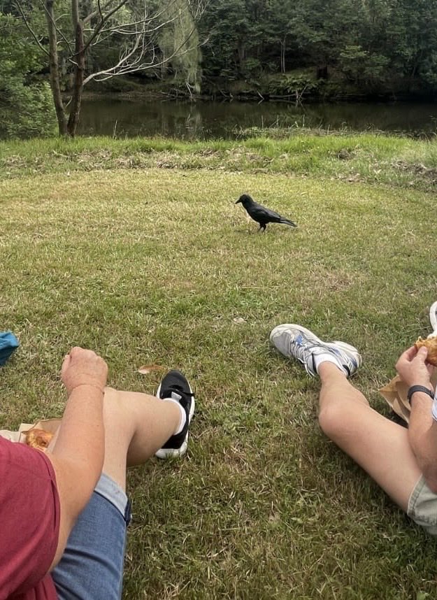 It’s 2 years since Mum left this world. Each anniversary my sister & family visit where her ashes were cast. And so far, every time, there is a raven. That just sits with them. Mum loved ravens.