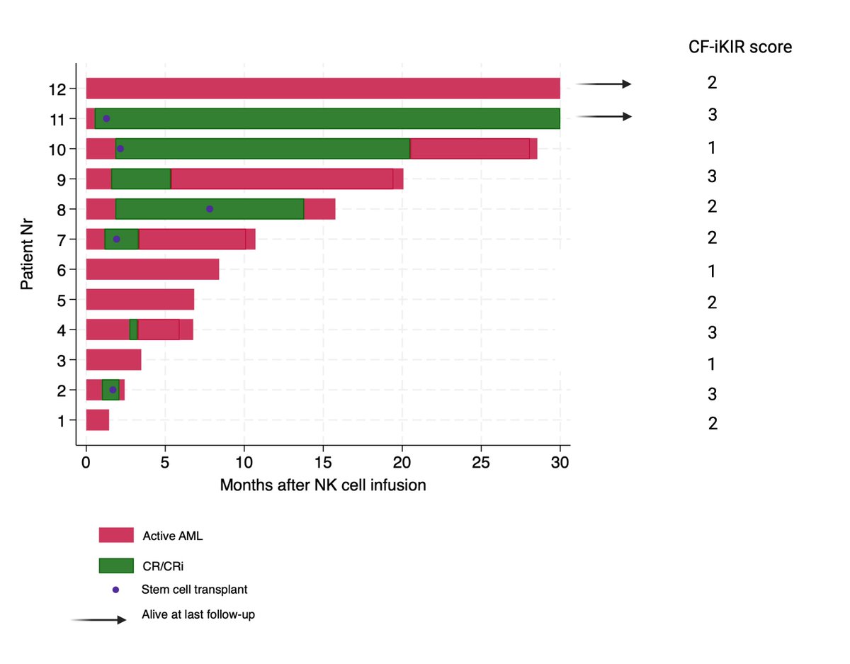 Repeated doses of haploidentical expanded NK cell therapy were safe & well-tolerated without infusion adverse effects.
~60% of patients with refractory #AML achieved remission after administration of multiple doses of ex vivo expanded NK-cells #celltherapy
doi.org/10.1002/ajh.27…