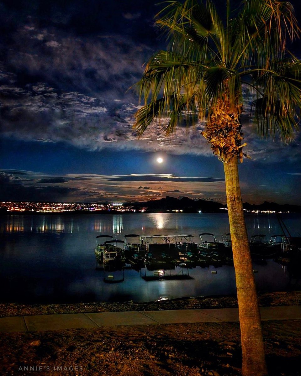 Spring Night in Lake Havasu City, AZ  #findyourelement #golakehavasu #lakehavasunow #fullmoon #moonlight #lakelife
golakehavasu.com
📸 by Ann Smith