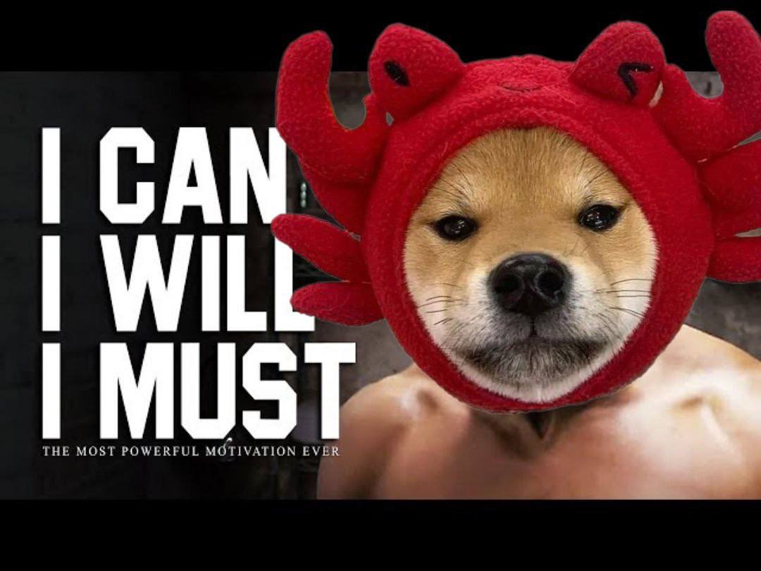 canwifhat's tweet photo. I $CAN
I WILL
I MUST https://t.co/NZ6BPxcYQd