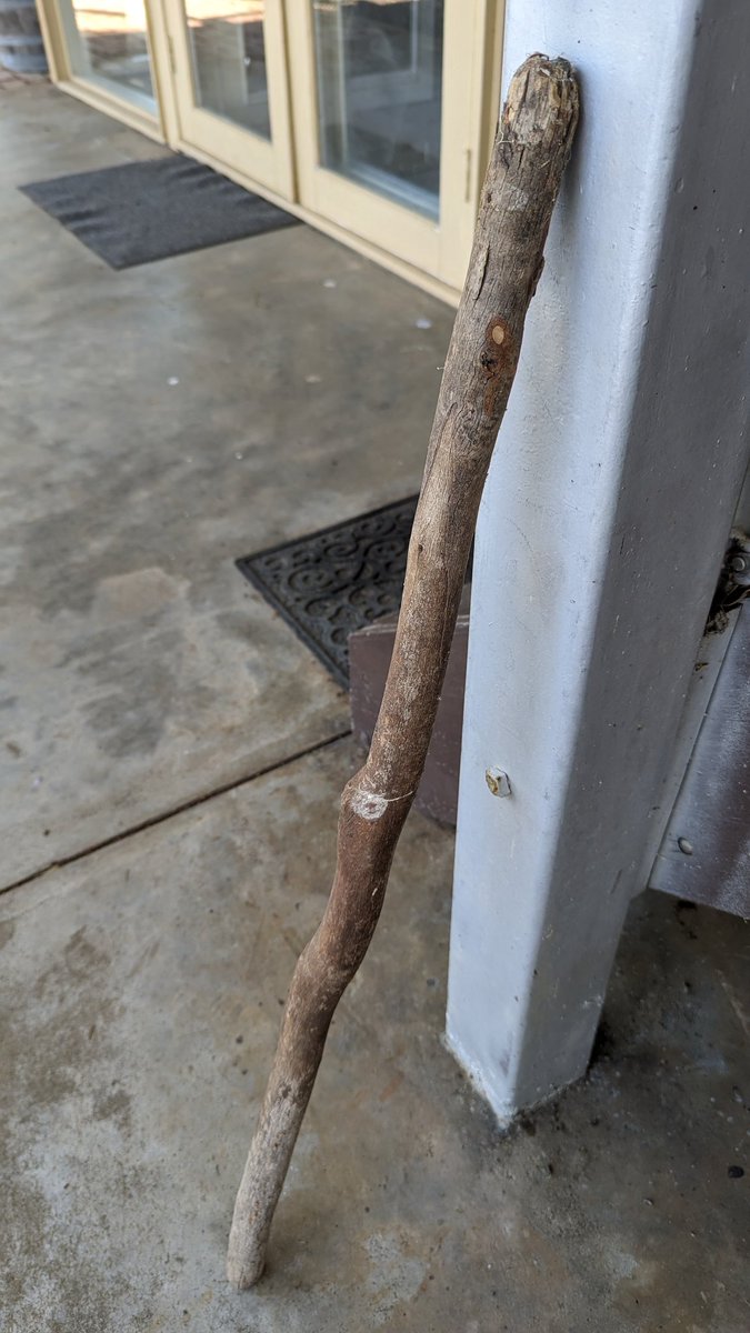 Gabasneh's tweet photo. Easter holidays means we get to see our favourite stick again. My son has cared for it for years. Please rate our family stick.
#sticksmatter #stick #ratemystick https://t.co/sQ2Qxwuf7S