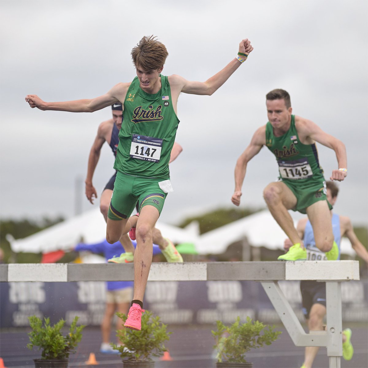 The Fighting Irish (@fightingirish) on Twitter photo New <a href="/NDXCTF/">Notre Dame XC/TF</a> steeplechase record ✔️
Lifetime PR of 8:33.60 ✔️
Regional qualifying ticket punched ✔️
#GoIrish | <a href="/cj_sngltn/">CJ Singleton</a> New <a href="/NDXCTF/">Notre Dame XC/TF</a> steeplechase record ✔️
Lifetime PR of 8:33.60 ✔️
Regional qualifying ticket punched ✔️
#GoIrish | <a href="/cj_sngltn/">CJ Singleton</a>