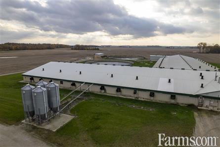 100 acre #hog farm is available in Lucan, Ontario! 85 acres of systematically tiled workable land, 2500 premium #sow barn, large shop — take a look for yourself ⬇️ 🔗farms.com/farm-real-esta… #OntAg #FarmRealEstate #Swine #FarmForSale #AgTwitter #Farmland #Pigs @farm_ontario