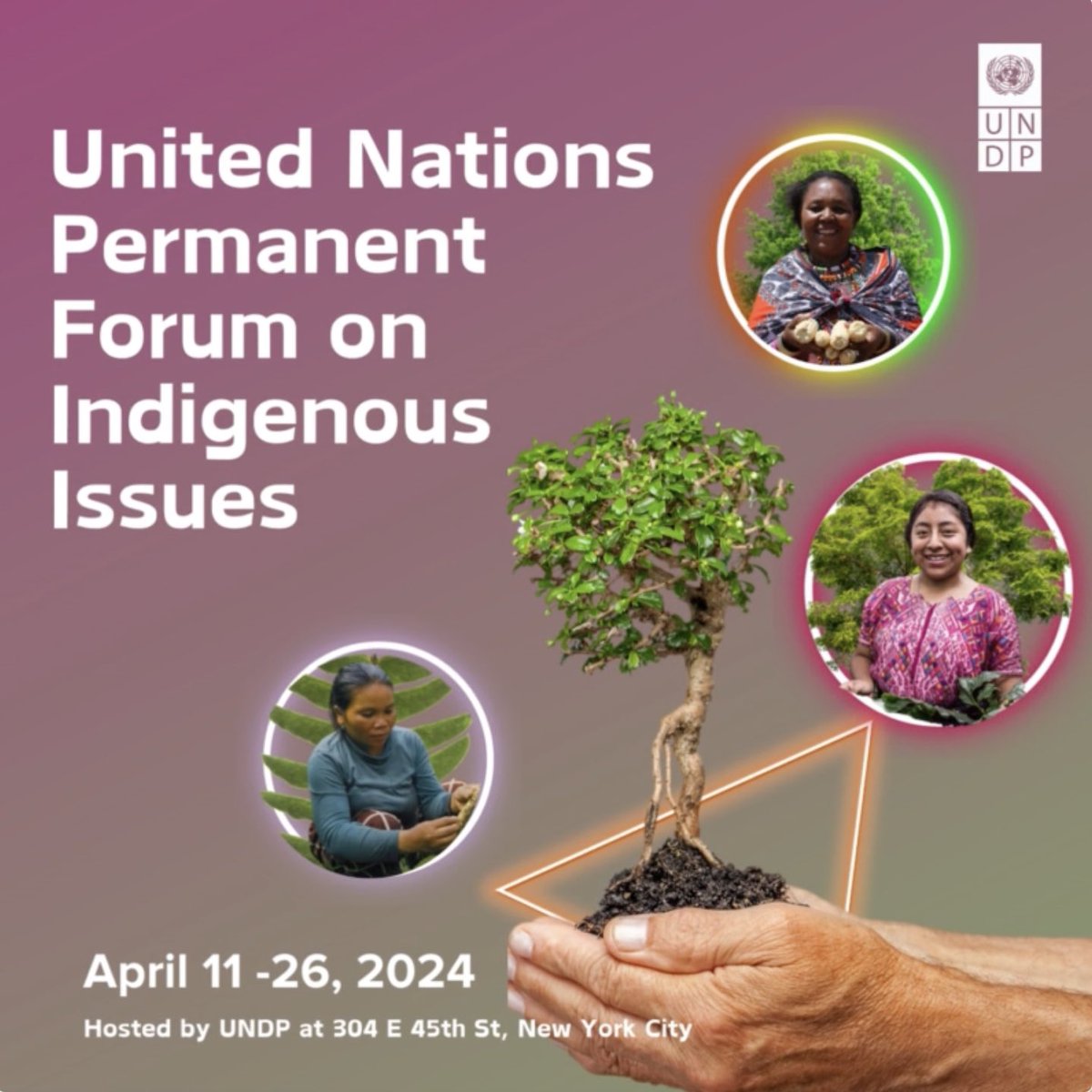 Indigenous wisdom holds keys to climate resilience🌱. As the world confronts climate change, @‌UN4Indigenous explores how traditional knowledge can lead the way ! Find @UNDP's engagement at #UNPFII2024 Click 👉 climatepromise.undp.org/news-and-stori…