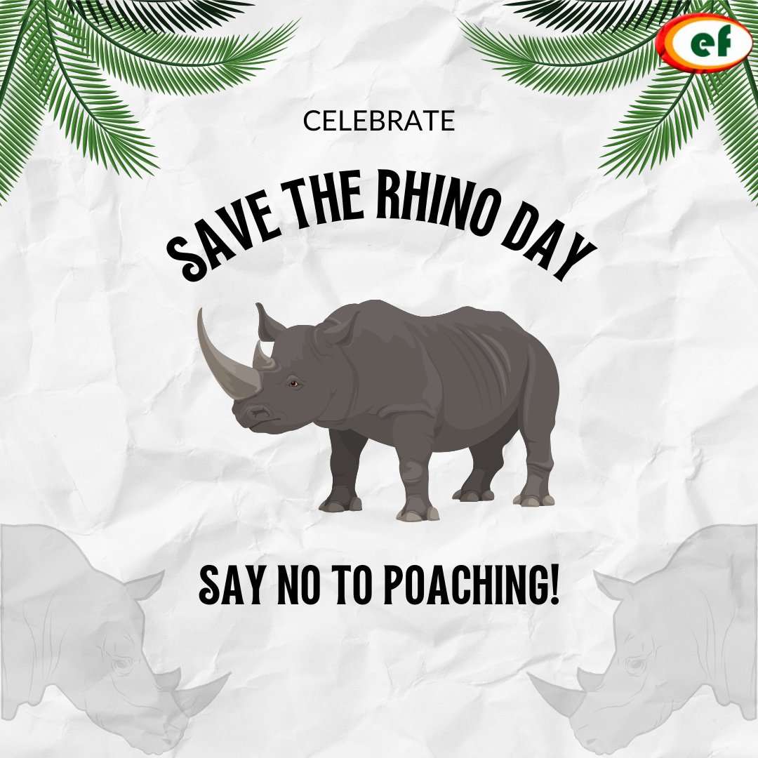 Today is Save the Rhino Day! This day is dedicated to raising awareness about the critical threats facing rhinos and the urgent need to protect these majestic creatures from extinction.

environbuzz.com/climate-change…

#Conservation #SaveRhinos #NoPoaching