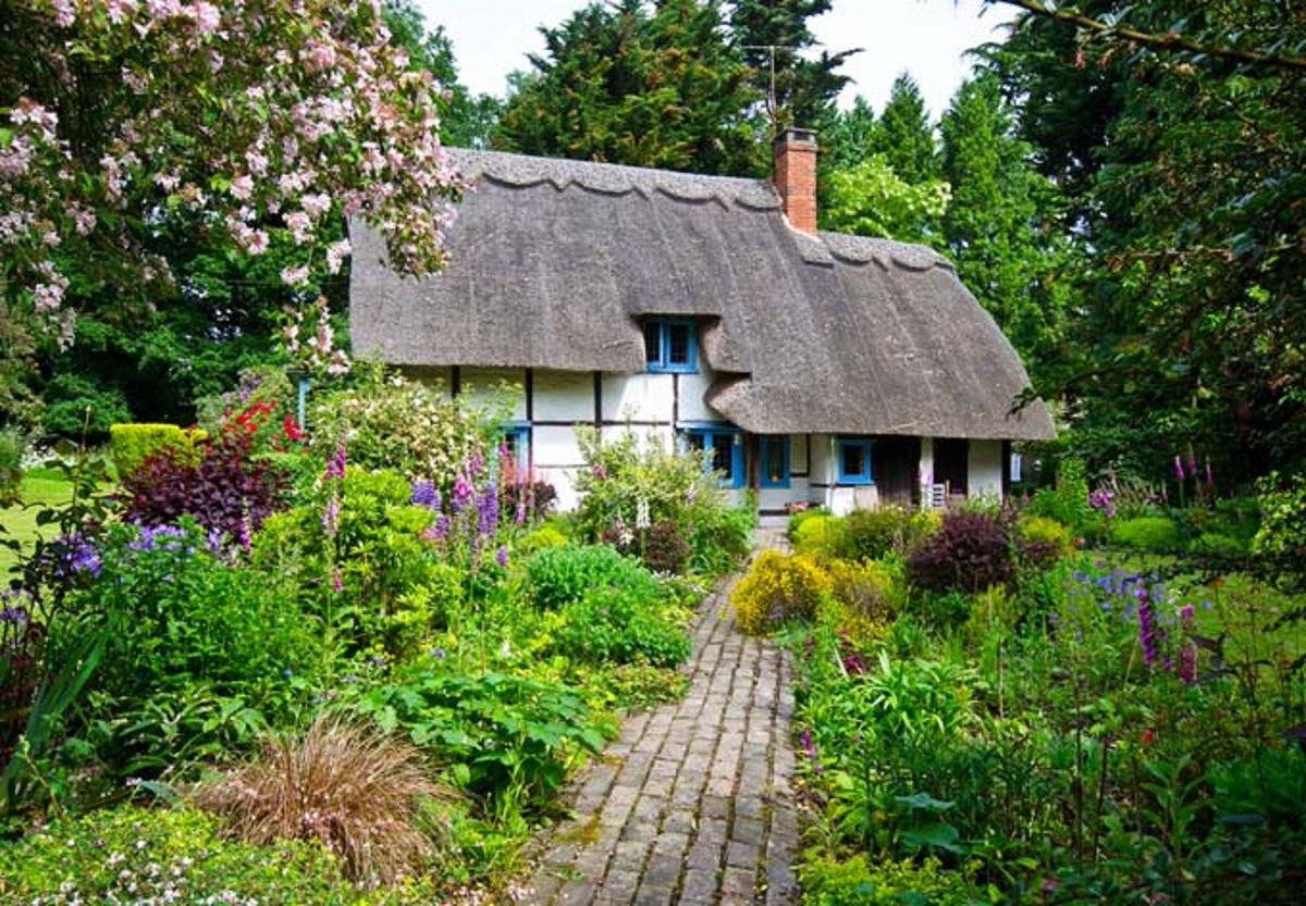 Tudor style cottage with busy garden. NMP.