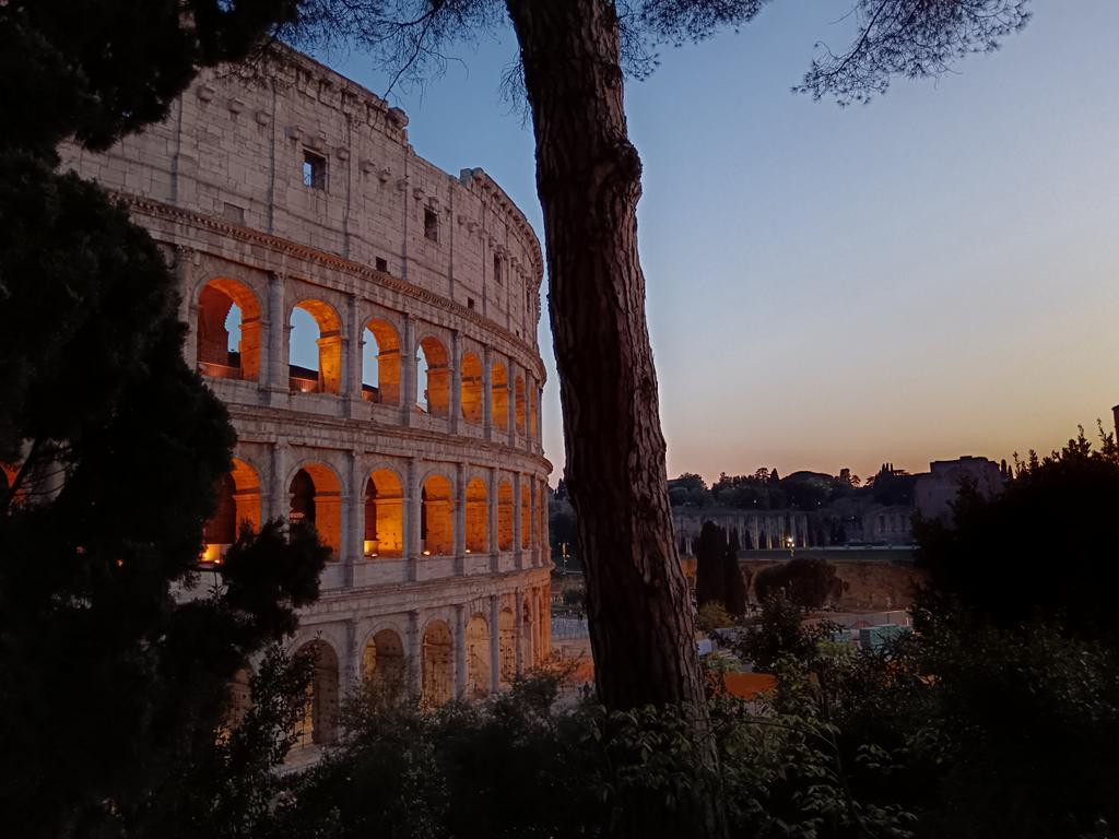 Tom Ashbyトム アシュビー tweet media