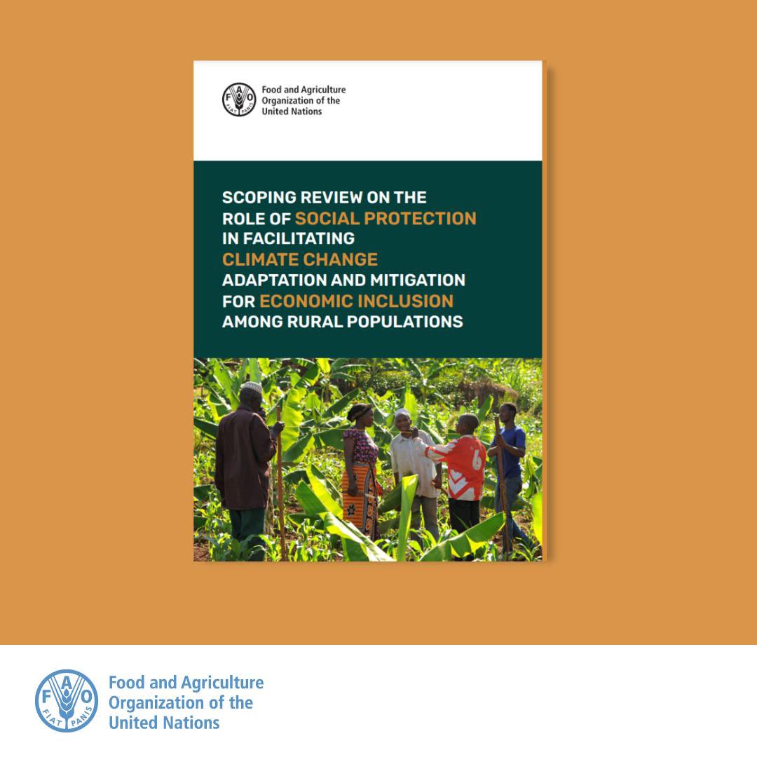 Find out how #socialprotection impacts on #ClimateAction 👉🏽 fao.org/documents/card…
