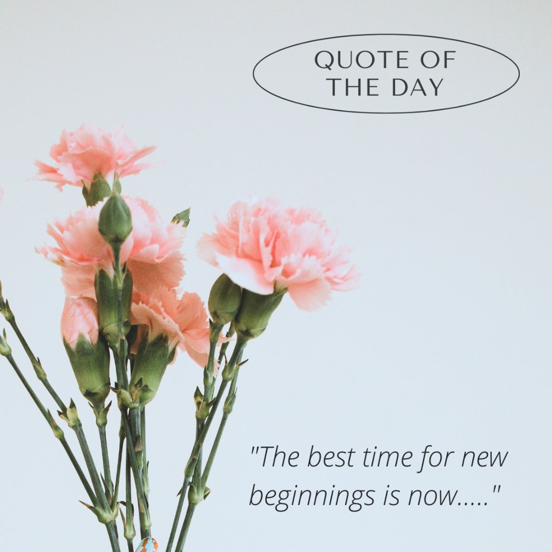 There's no better moment than the present to embark on fresh journeys... Are you envisioning kicking off your summer in the comfort of a completely new home?

Let's make your dream home a reality this season.

#newbeginnings #quoteoftheday #buywithliz #sellwithliz #listwithliz