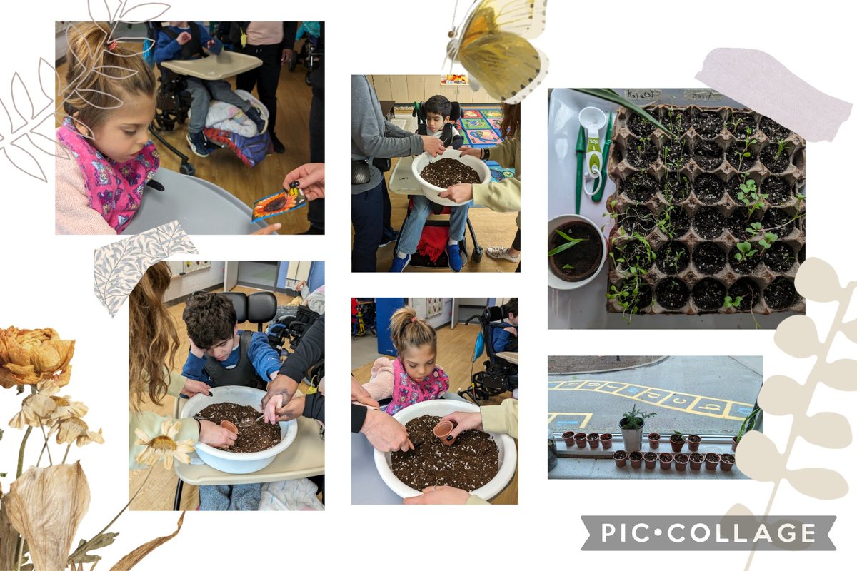 To continue with our theme of spring, new life and growth, today our friends planted sunflower seeds. All of our vegetable seeds have started to sprout and will be ready for planting in our communal garden next month! 🌱 🌻 ☀️ @MotherTeresaOak