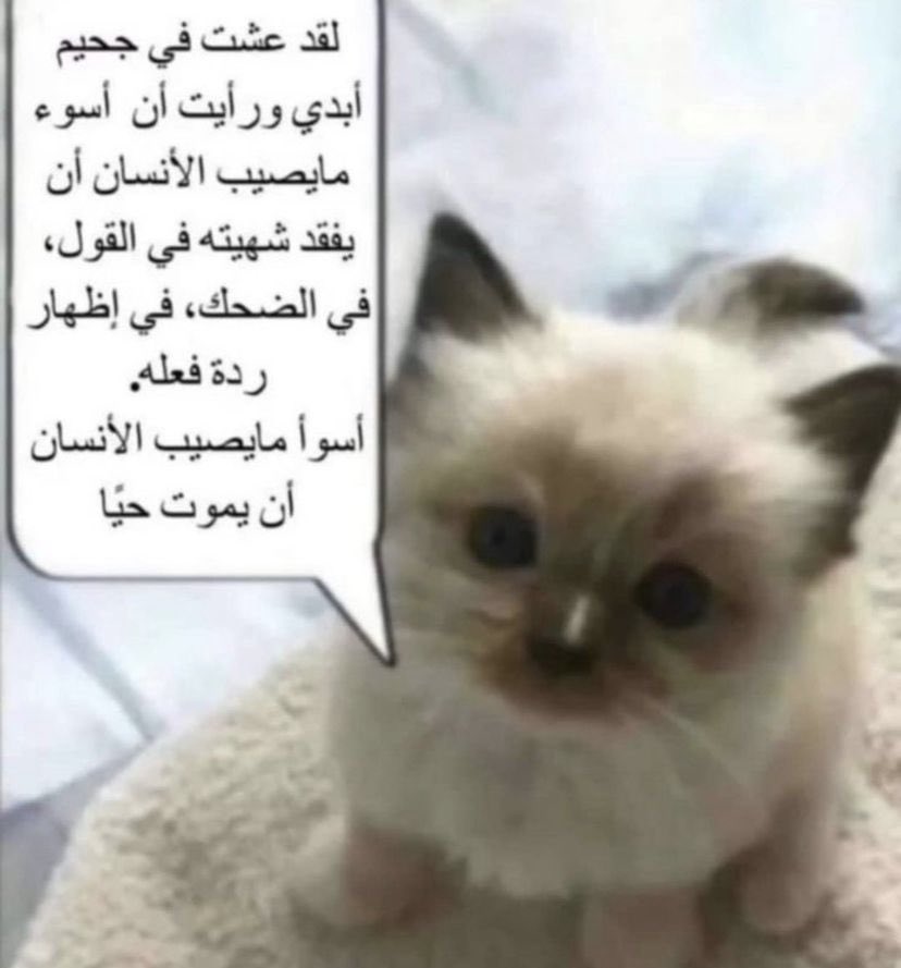 AWS_7l's tweet image. 