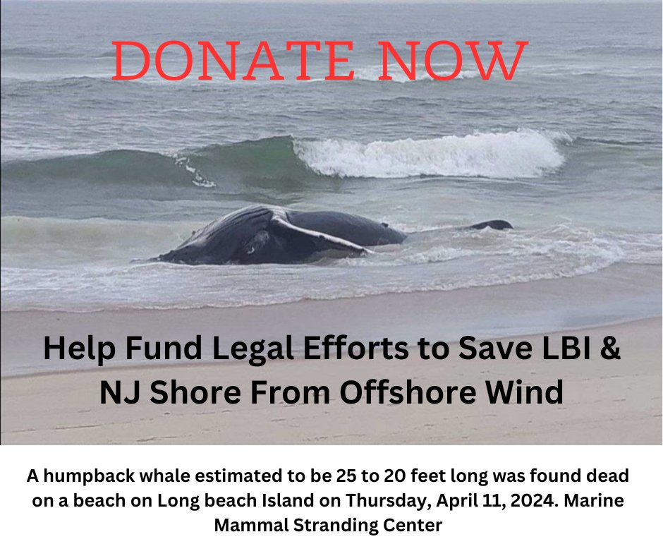 Another tragic chapter to the alarming tally of nearly 100 whale fatalities along the East Coast since December 2022. We need to safeguard our marine ecosystems @GovMurphy and the magnificent creatures that inhabit them. #SaveTheWhales #MarineMammals 
tinyurl.com/49pn8hnh