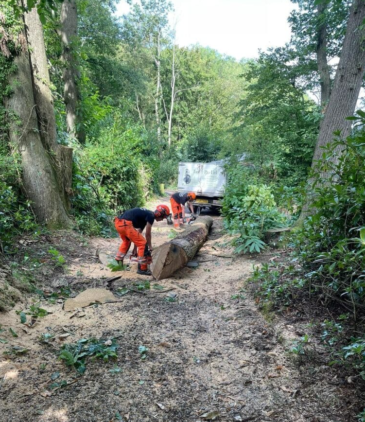 TreeProLtd's tweet image. Your Trusted Professional Tree Surgeons in Lenham📍

In the heart of Lenham, where the verdant landscapes meet the quaint charm of the village, Tree Pro stands tall as the pinnacle of professionalism &amp;amp; expertise in the realm of tree surgery.

Read more👉 bit.ly/3J6eTNn