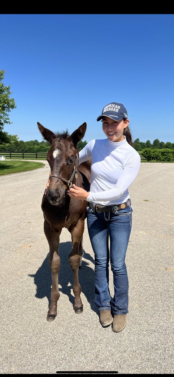 Unchained Elaine making her career debut against the boys in the 2nd race at @GulfstreamPark! Here is her at 6 weeks old 2 years ago at @coolmorestud 🩷